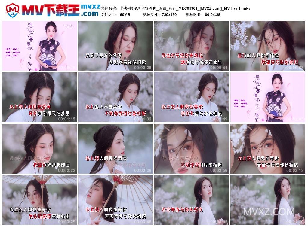 蒋婴-想你念你等着你_国语_流行_MEC01301